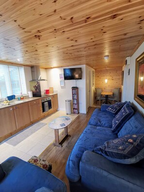 TV, DVD player, books, video library