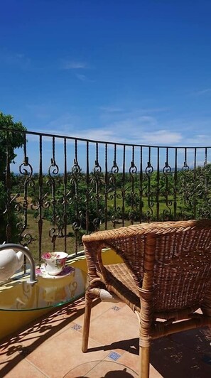 A wicker chair on a balcony with a view of a vineyard and a clear blue sky. - Straybirds BnB (Donghe)