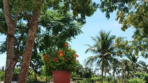 A wooden picnic table with a potted plant on it, surrounded by trees and a clear sky. - Straybirds BnB (Donghe)