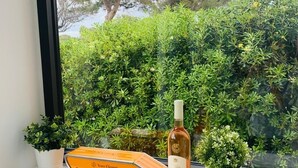 A bottle of Sanaryy-Sur-Mer wine, a box, and two potted plants on a windowsill. - Apartment type villa in Sanary sea view, 150m from the beach with Jacuzzi plus parking (Sanary-sur-Mer)