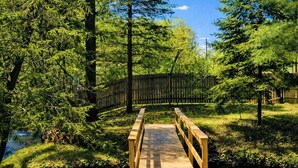 Eine Holzbrücke über einem Bach in einem bewaldeten Gebiet mit hohen Bäumen und blauem Himmel.