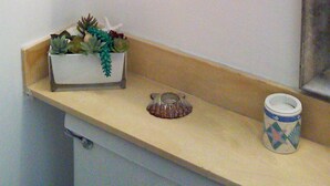 Un bagno con uno scaffale che ospita un quadro incorniciato, una piccola pianta in vaso e una stella marina. Sotto lo scaffale, un contenitore con piante grasse e un oggetto decorativo.