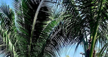 Appleton Little Paradise Beach Resort