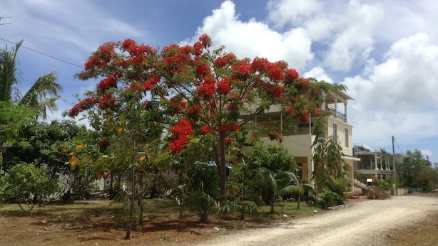 A building with a balcony and a gravel driveway.