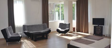 1 soverom, strykejern/-brett og wi-fi