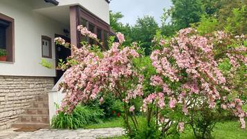 Terrein van de accommodatie