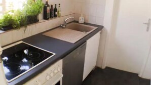 A compact kitchen with a stove, oven, sink, and a window with plants.