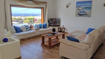 TV, DVD player, books, music library