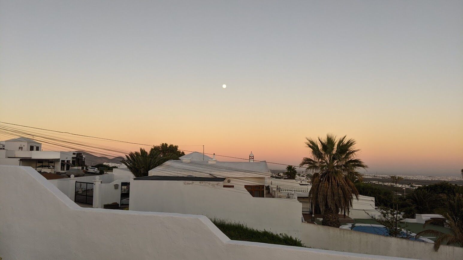 A coastal residential area with white buildings, a palm tree, and a clear sky during sunset.
