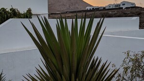 Um edifício branco com telhado plano, rodeado por um jardim com plantas de agave e uma montanha ao fundo.