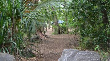 Área da propriedade