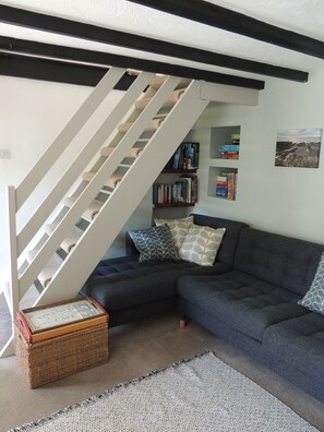 TV, caminetto, lettore DVD, libri