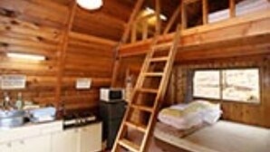 A cabin with a loft bed, a ladder, wooden walls, and a small kitchen area.