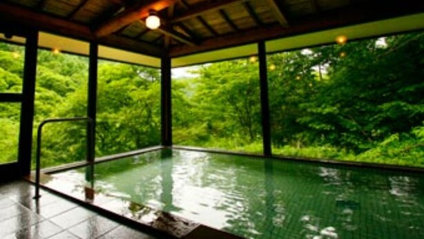 An indoor swimming pool with a view of lush greenery outside.