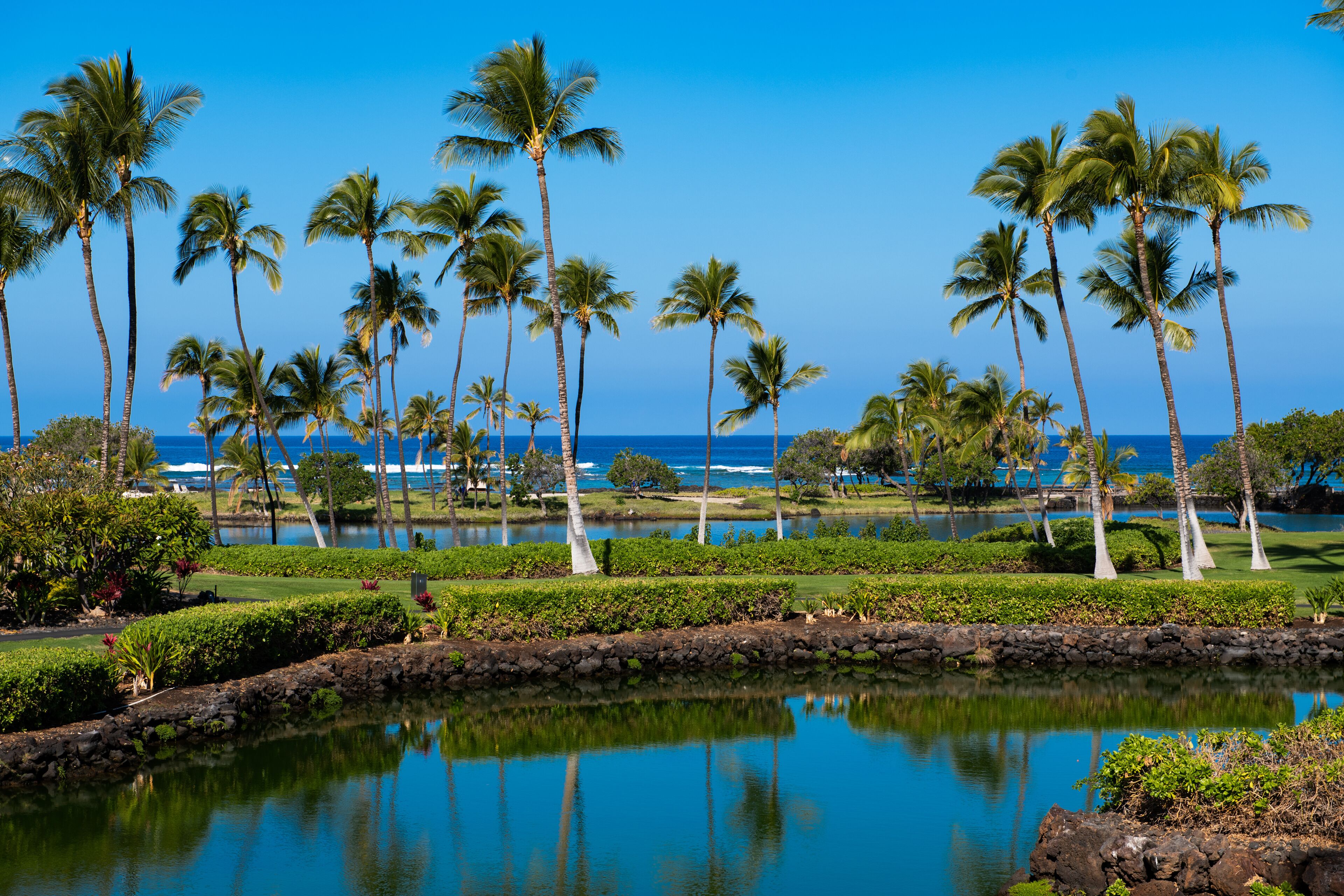 Mauna Lani Terrace D201