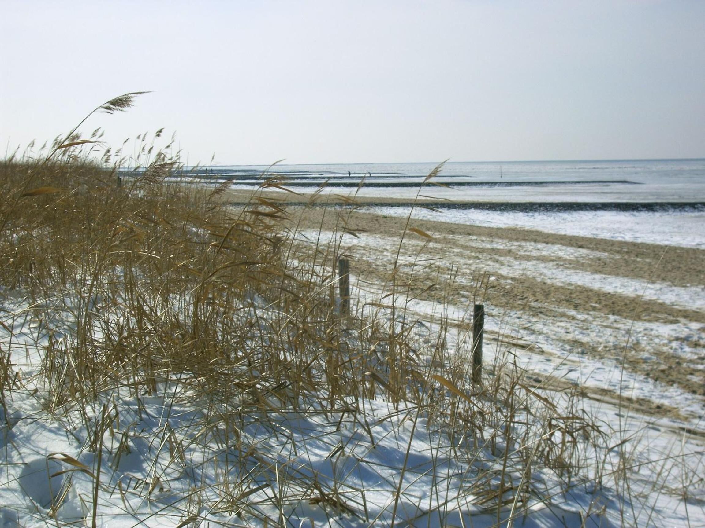 Ein Strand mit Sand, vereinzelten Grashalmen, einem Zaun und einem ruhigen Meer im Hintergrund.