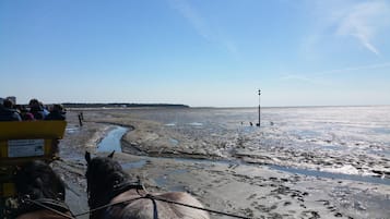 Am Strand
