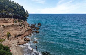 Pesca