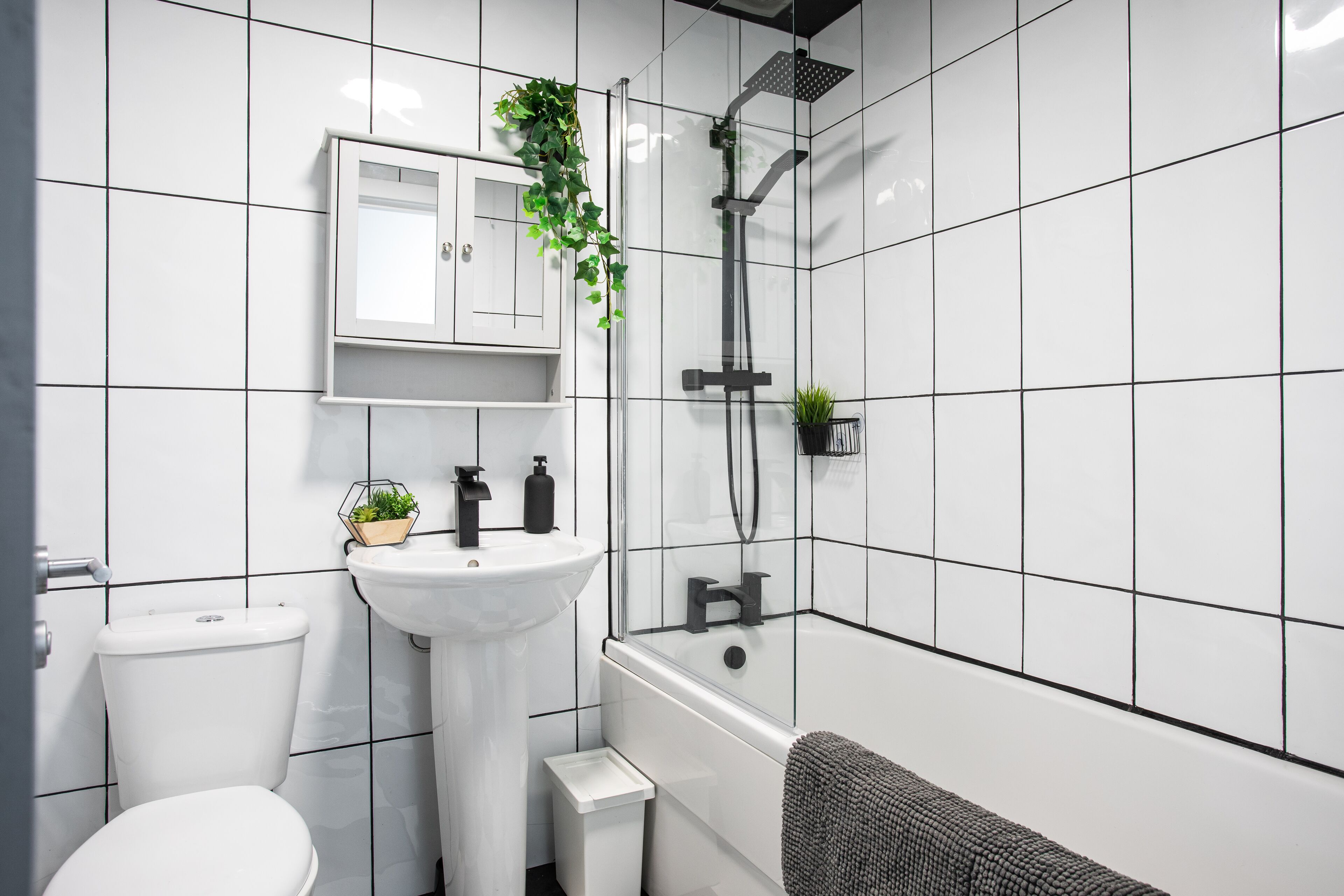 Apartament, accessible, bany privat | Bany