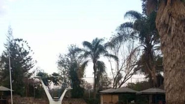 A swimming pool with a unique white structure in the center, surrounded by stone tiles and palm trees. - Chester View Homestay - Hostel (Mlolongo)