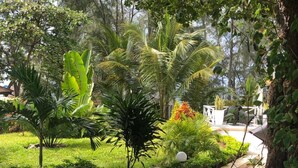 Unclassified image, 3 of 16, button - Petals of Afrika (Malindi)