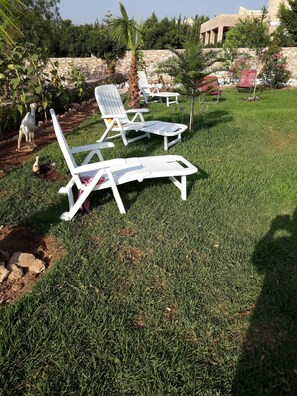 Terrain de l’hébergement 