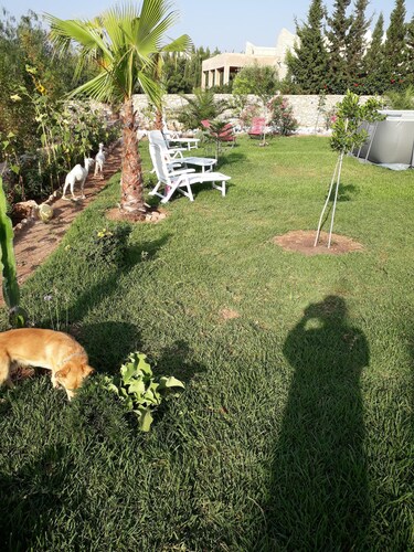 Villa Fatiha calm and comfort