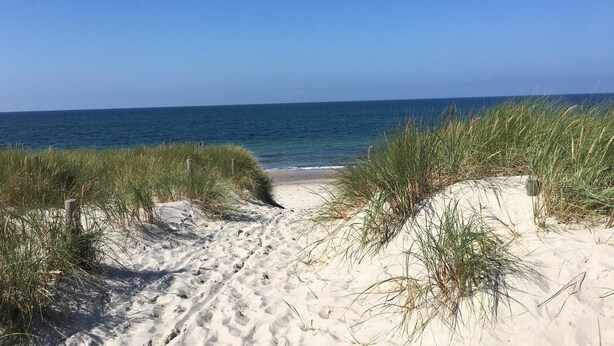 A sandy beach path leading to the ocean, surrounded by grassy dunes. - *öddeker, Lidia und Dieter GM 69137 - Holiday apartment in the coastal forest - Baltic Sea SNR: (Gelbensande)