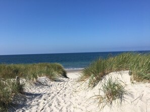 A sandy beach path leading to the ocean, surrounded by grassy dunes.