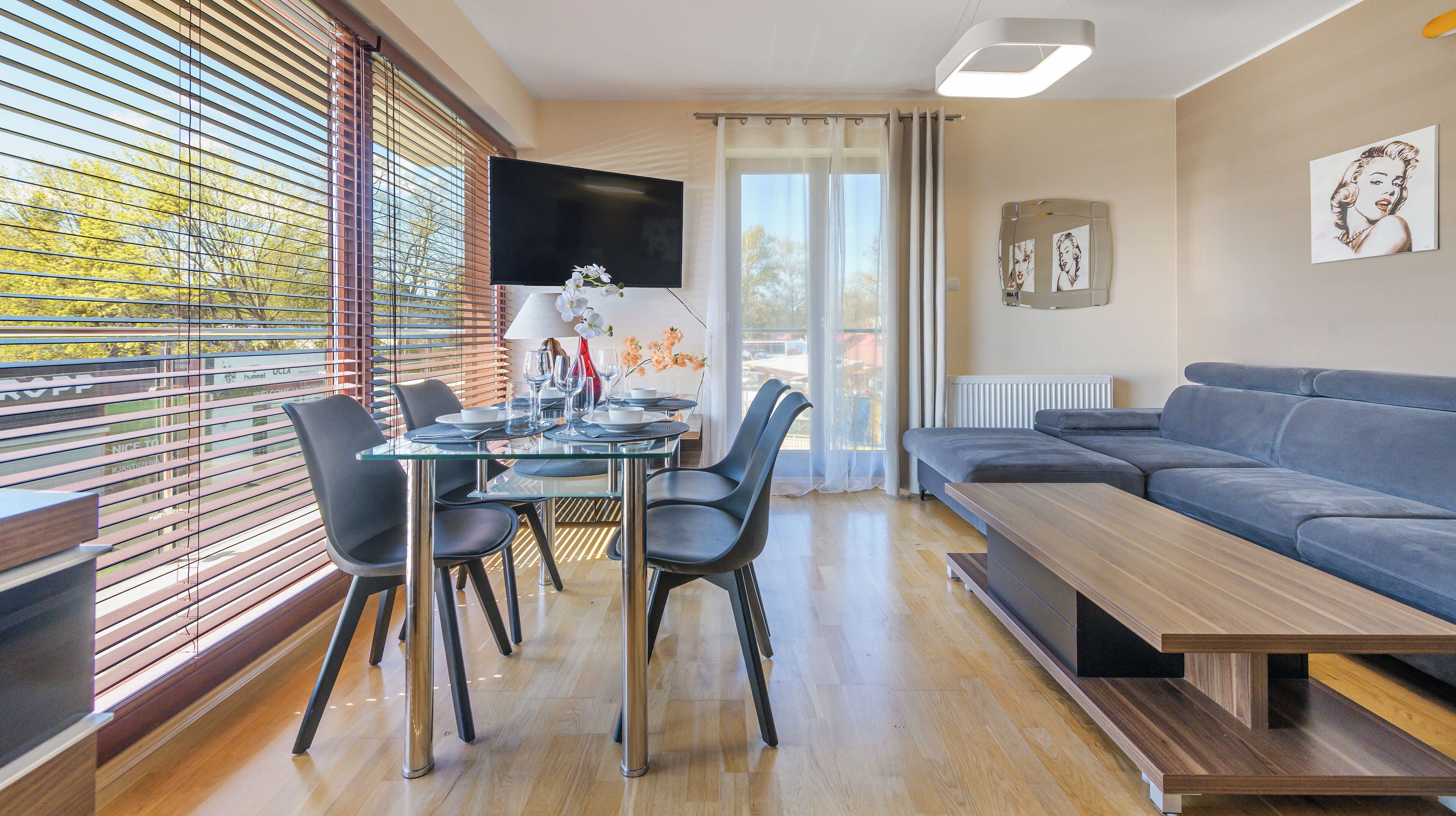 Appartement (14) | Woonruimte | Een flatscreentelevisie