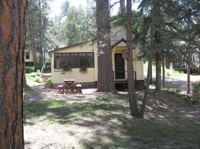 Little Pine Cabin/ 1 bed, 1 Bath