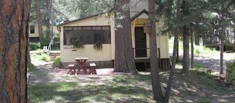 Little Pine Cabin/ 1 bed, 1 Bath