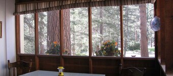 Little Pine Cabin/ 1 bed, 1 Bath