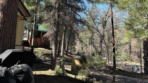 A forested area with a cabin and a vehicle.