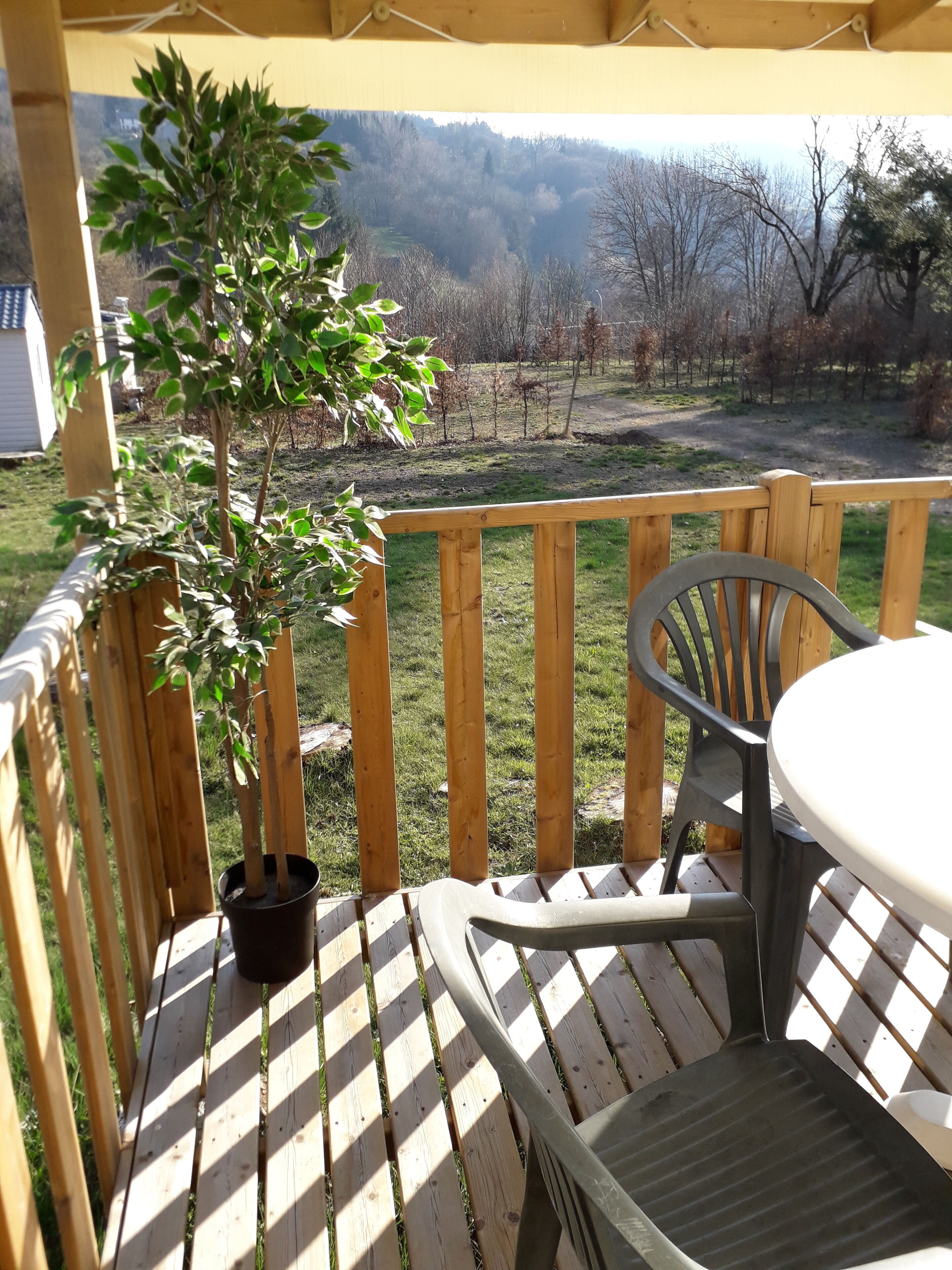 A wooden deck with a potted plant, a table, and a chair.