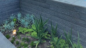 Un área de piscina moderna al aire libre, con piscina azul cristalina, sillones de descanso y un pequeño jardín con plantas.