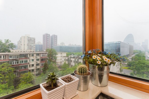 Exterior detail - Splendiferous Apartment - Wang Jing (Beijing)