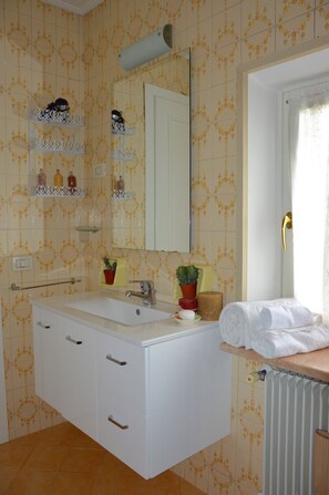 Combined shower/tub, bidet, towels