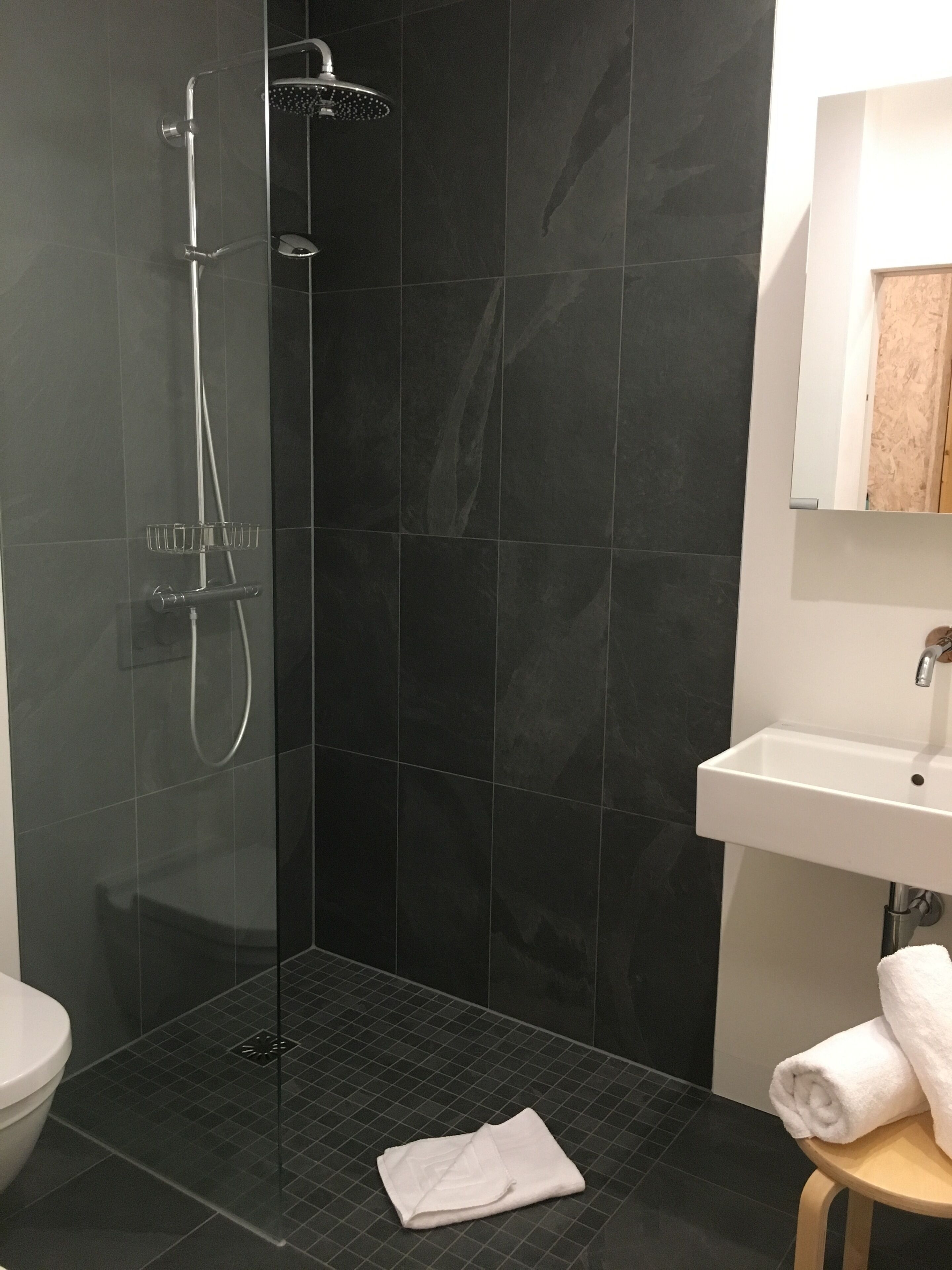 superior single room | bathroom | shower, hair dryer, towels