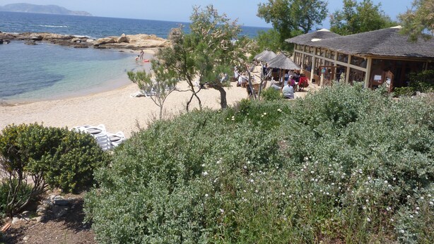 A beachside location with clear waters, rocky outcrops, and a building with outdoor seating. - Studio for rent in LUMIO in BALAGNE (Lumio)