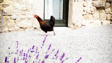 Details aan de buitenkant