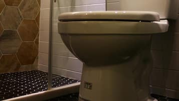 Shower, free toiletries, hair dryer, slippers