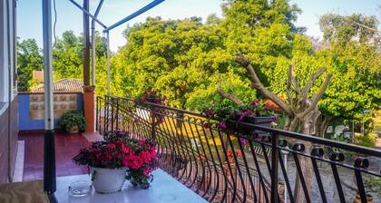 B&B Almoetia