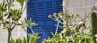 The Suites - Piazza Kirkop