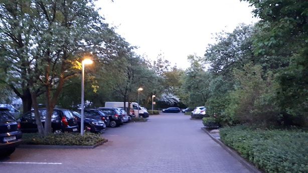 Un chemin pavé, bordé de voitures garées et d’arbres, qui mène à un parking.