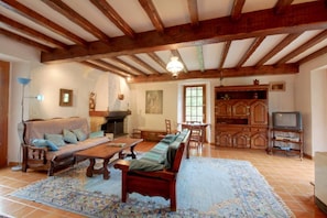 Smart TV, fireplace, DVD player, books