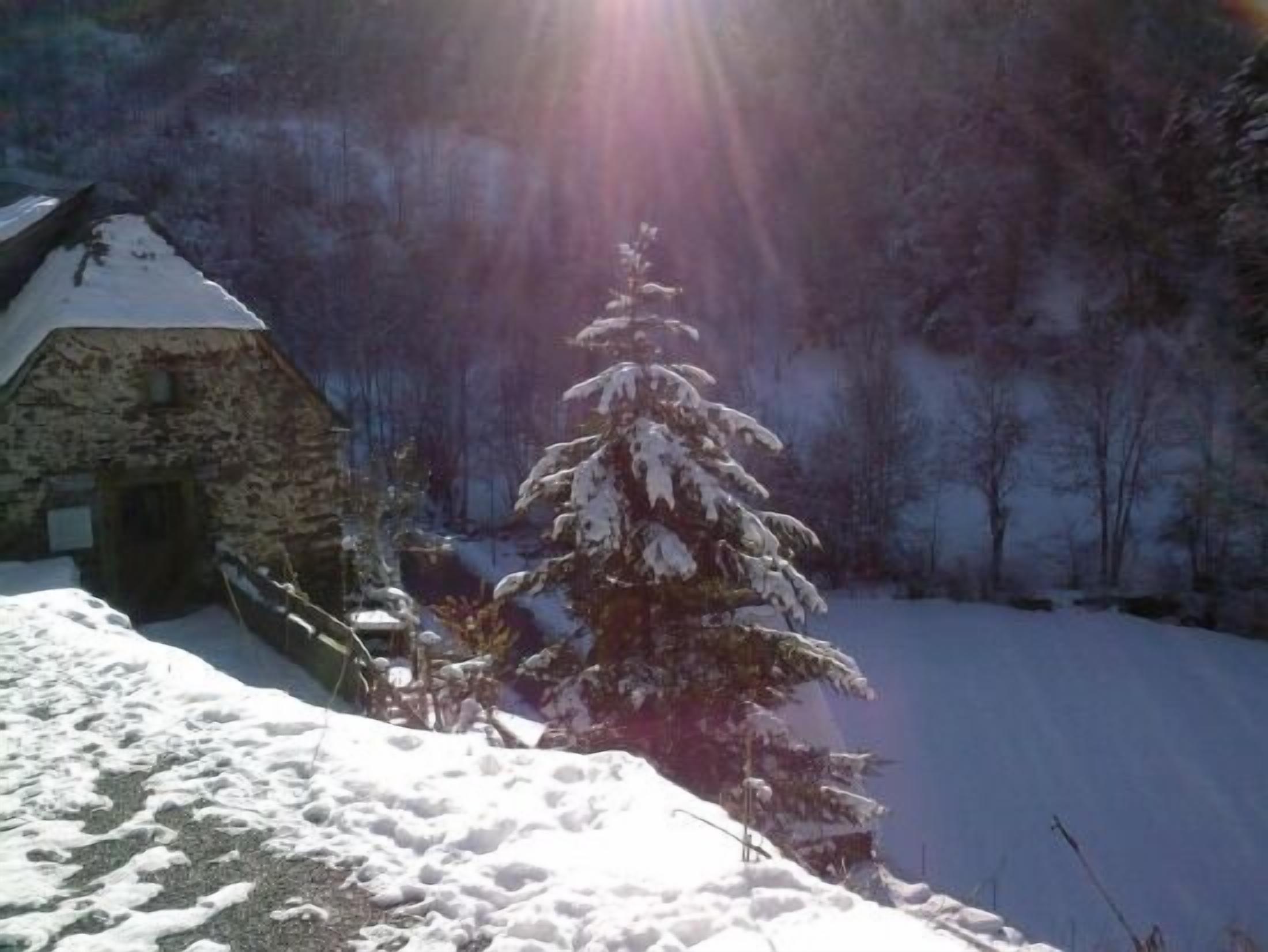 Un bâtiment en pierre dont le toit est recouvert de neige, un arbre chargé de neige et un paysage enneigé.