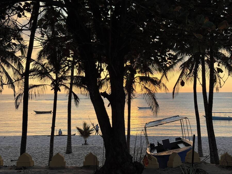 Escena de playa con palmeras, un bote y un mar tranquilo al atardecer.