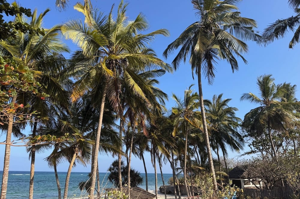 The Coconut Beach Boutique Lodge & Spa