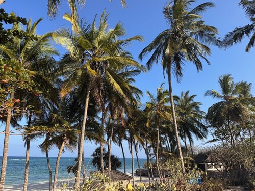 The Coconut Beach Boutique Lodge & Spa